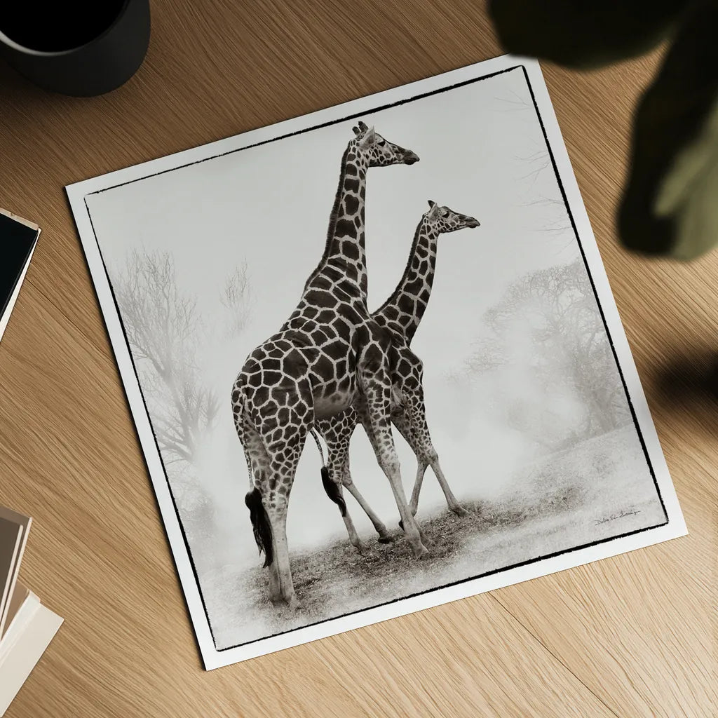 Giraffe II by Debra Van Swearingen. Shown as a detailed flat fine art print, highlighting archival giclee quality. Available as an archival giclee rolled canvas, fine art paper, or poster print. SKU 17950a.