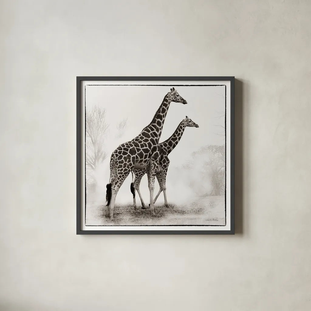 Giraffe II by Debra Van Swearingen. Shown in a sleek black glass frame for a contemporary gallery look. Available as an archival giclee rolled canvas, fine art paper, or poster print. SKU 17950a.