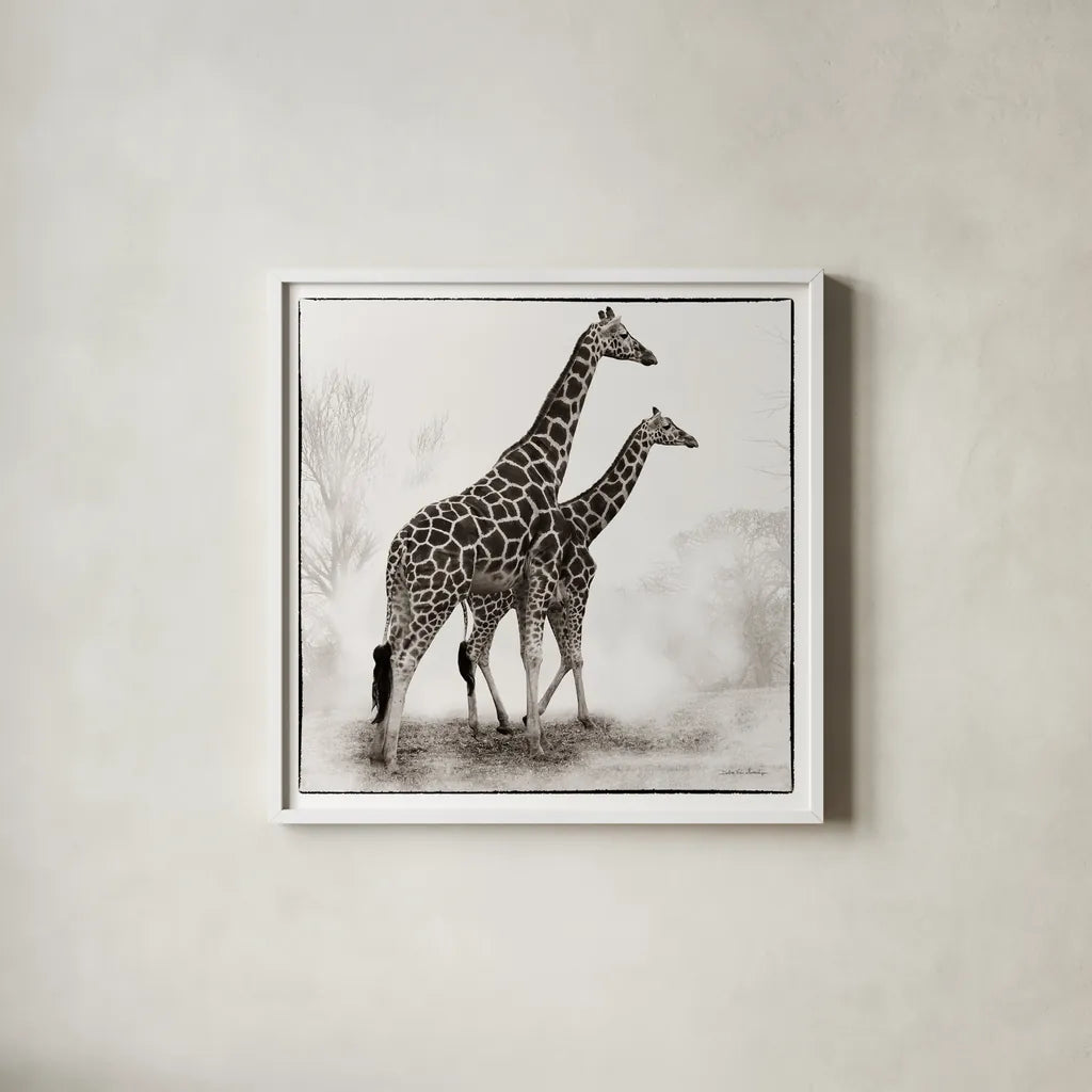 Giraffe II by Debra Van Swearingen. Shown in a crisp white glass frame for a clean and minimalist style. Available as an archival giclee rolled canvas, fine art paper, or poster print. SKU 17950a.