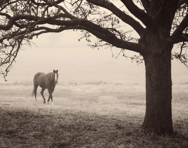 Hazy Horse I by Debra Van Swearingen