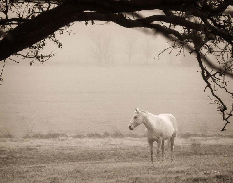 Hazy Horse II by Debra Van Swearingen