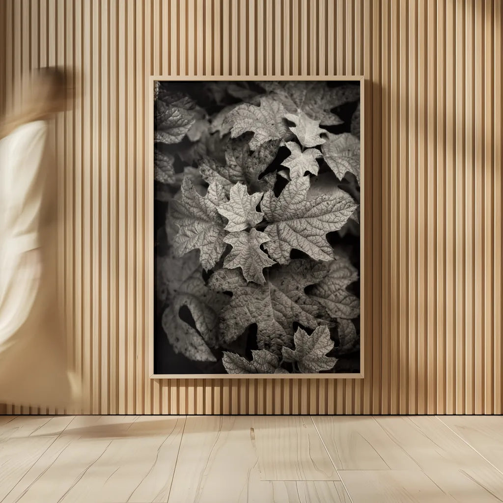 Hydrangea Leaves in Black and White by Debra Van Swearingen. shown as over sized large wall art. Available as an archival giclee rolled canvas, fine art paper, or poster print. SKU 63371h.