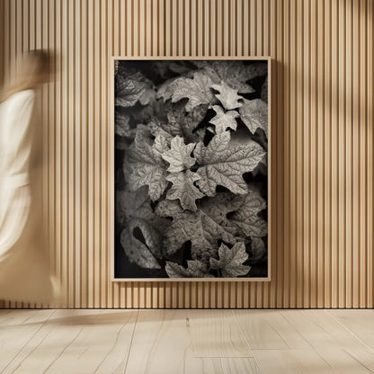 Hydrangea Leaves in Black and White by Debra Van Swearingen. shown as over sized large wall art. Available as an archival giclee rolled canvas, fine art paper, or poster print. SKU 63371h.