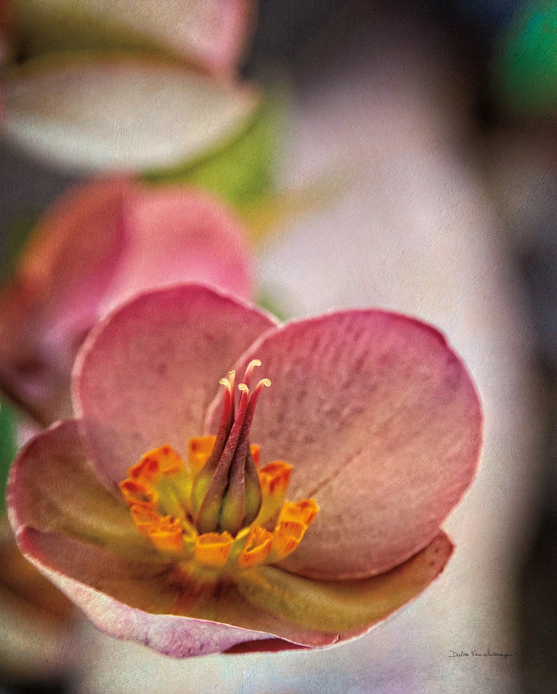 Lenton Rose III by Debra Van Swearingen