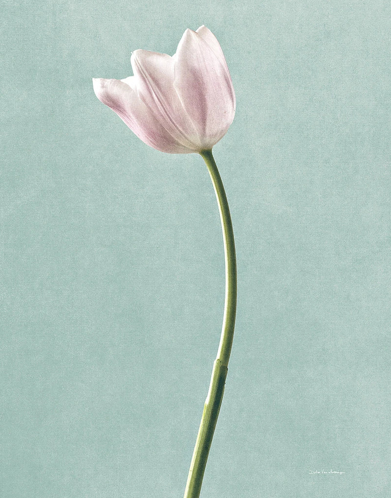 Light Tulips I Harbor Gray by Debra Van Swearingen