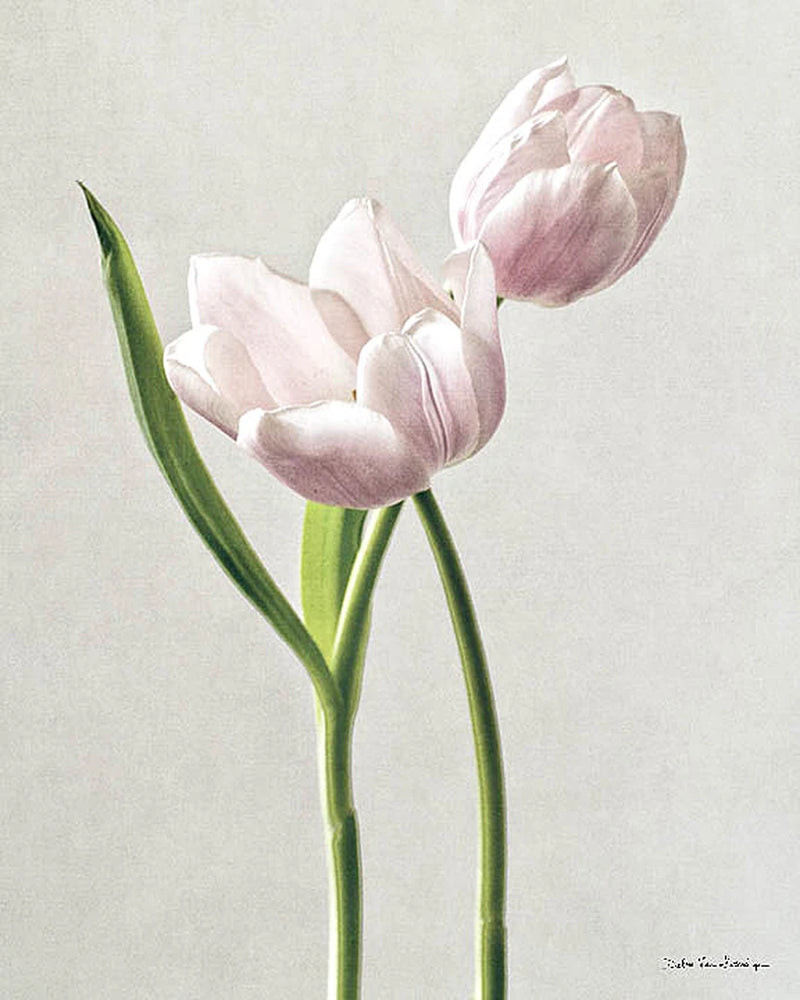 Light Tulips III Crop by Debra Van Swearingen
