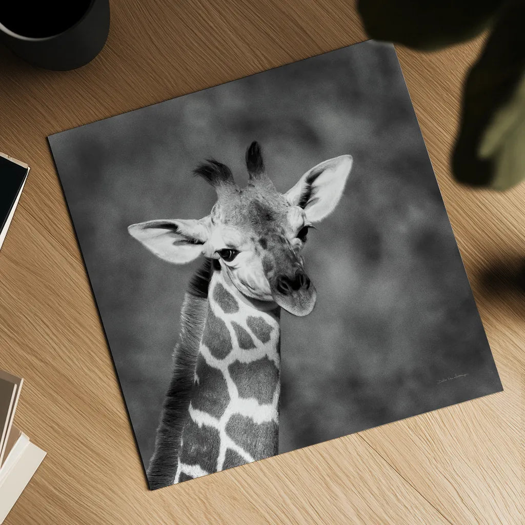 Little Guy by Debra Van Swearingen. Shown as a detailed flat fine art print, highlighting archival giclee quality. Available as an archival giclee rolled canvas, fine art paper, or poster print. SKU 52675a.