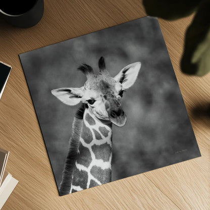 Little Guy by Debra Van Swearingen. Shown as a detailed flat fine art print, highlighting archival giclee quality. Available as an archival giclee rolled canvas, fine art paper, or poster print. SKU 52675a.