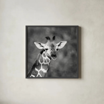 Little Guy by Debra Van Swearingen. Shown in a sleek black glass frame for a contemporary gallery look. Available as an archival giclee rolled canvas, fine art paper, or poster print. SKU 52675a.