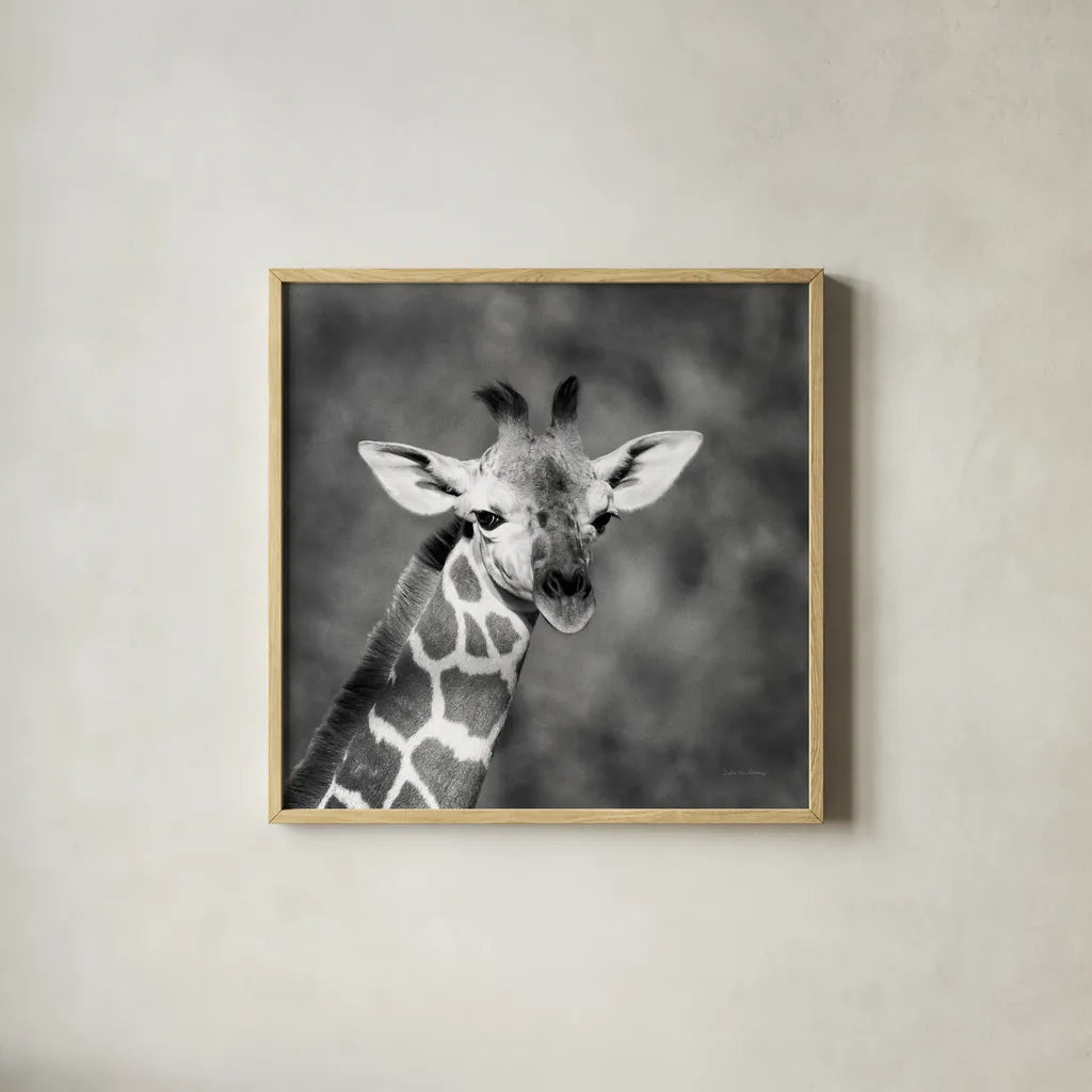 Little Guy by Debra Van Swearingen. Shown in a natural wood glass frame for a timeless modern aesthetic. Available as an archival giclee rolled canvas, fine art paper, or poster print. SKU 52675a.