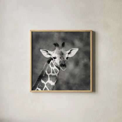 Little Guy by Debra Van Swearingen. Shown in a natural wood glass frame for a timeless modern aesthetic. Available as an archival giclee rolled canvas, fine art paper, or poster print. SKU 52675a.