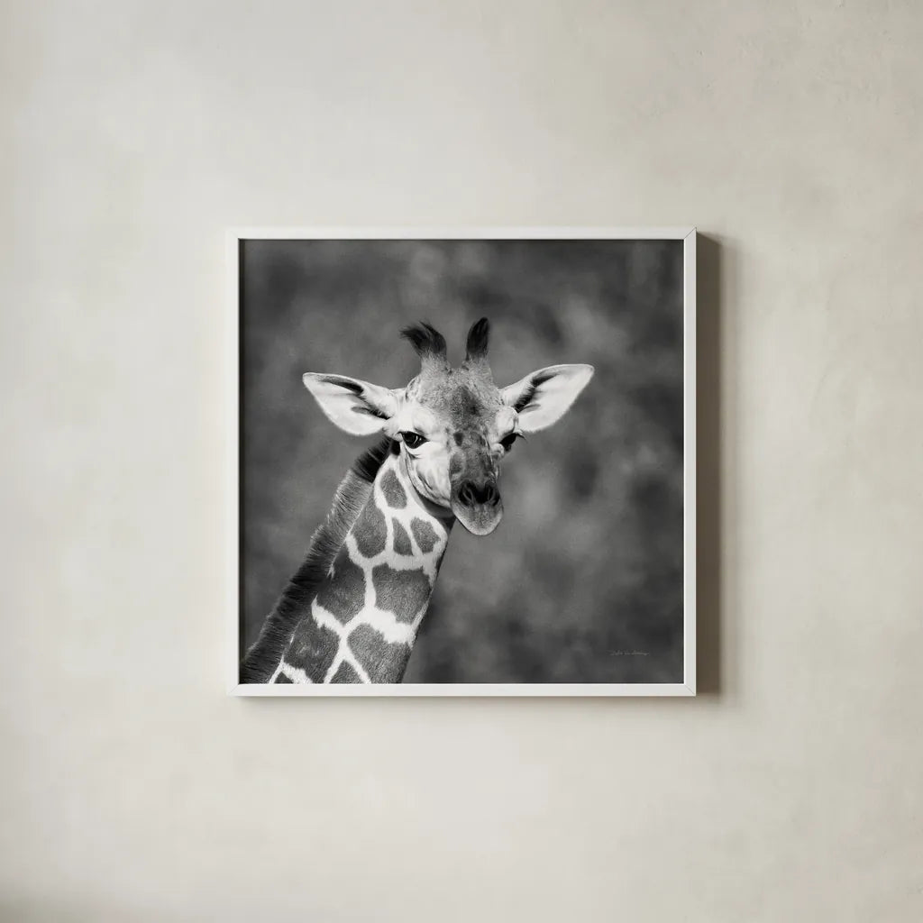 Little Guy by Debra Van Swearingen. Shown in a crisp white glass frame for a clean and minimalist style. Available as an archival giclee rolled canvas, fine art paper, or poster print. SKU 52675a.