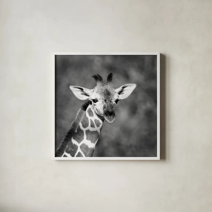 Little Guy by Debra Van Swearingen. Shown in a crisp white glass frame for a clean and minimalist style. Available as an archival giclee rolled canvas, fine art paper, or poster print. SKU 52675a.