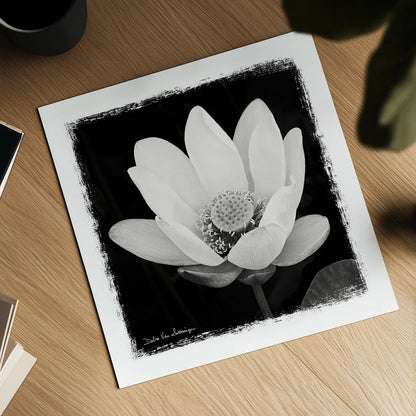 Lotus Flower I by Debra Van Swearingen. Shown as a detailed flat fine art print, highlighting archival giclee quality. Available as an archival giclee rolled canvas, fine art paper, or poster print. SKU 11703a.