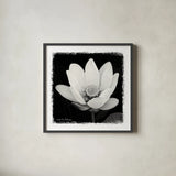 Lotus Flower I by Debra Van Swearingen. Shown in a sleek black glass frame for a contemporary gallery look. Available as an archival giclee rolled canvas, fine art paper, or poster print. SKU 11703a.