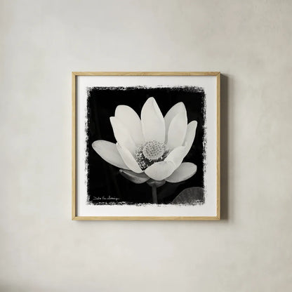 Lotus Flower I by Debra Van Swearingen. Shown in a natural wood glass frame for a timeless modern aesthetic. Available as an archival giclee rolled canvas, fine art paper, or poster print. SKU 11703a.