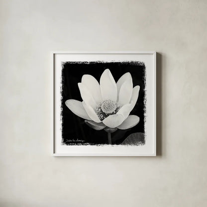 Lotus Flower I by Debra Van Swearingen. Shown in a crisp white glass frame for a clean and minimalist style. Available as an archival giclee rolled canvas, fine art paper, or poster print. SKU 11703a.