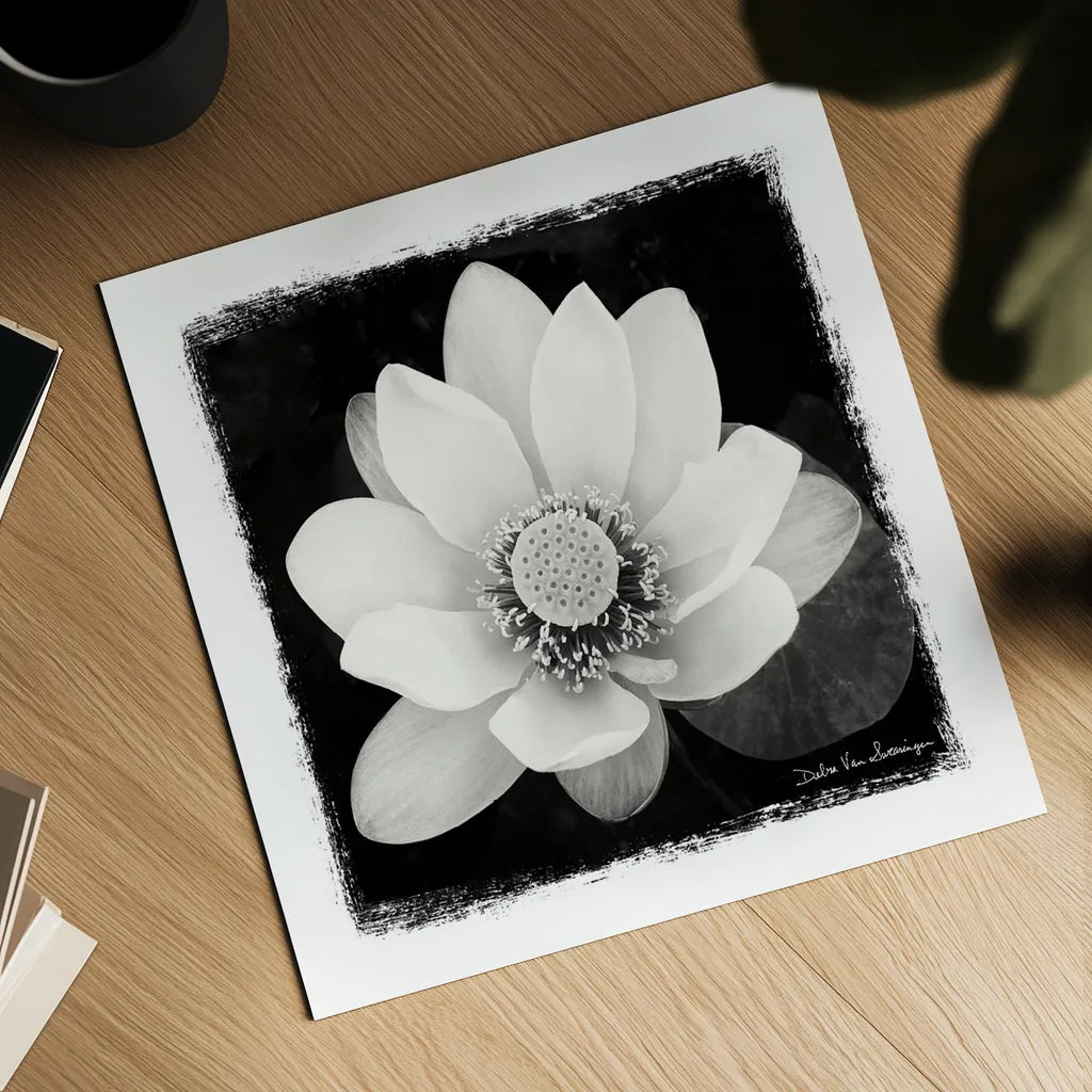 Lotus Flower II by Debra Van Swearingen. Shown as a detailed flat fine art print, highlighting archival giclee quality. Available as an archival giclee rolled canvas, fine art paper, or poster print. SKU 11704a.