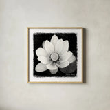 Lotus Flower II by Debra Van Swearingen. Shown in a natural wood glass frame for a timeless modern aesthetic. Available as an archival giclee rolled canvas, fine art paper, or poster print. SKU 11704a.