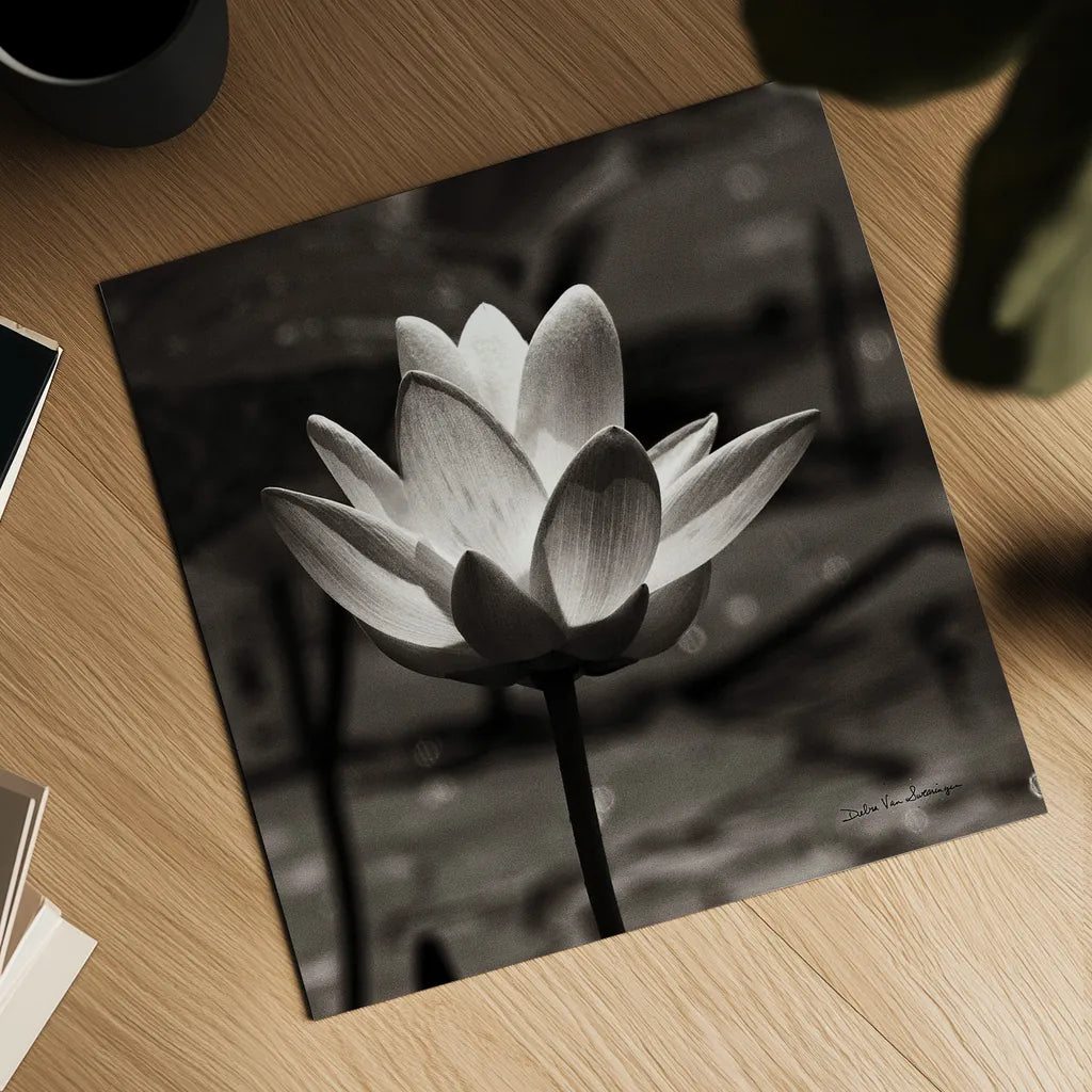 Lotus Flower VII Sq by Debra Van Swearingen. Shown as a detailed flat fine art print, highlighting archival giclee quality. Available as an archival giclee rolled canvas, fine art paper, or poster print. SKU 11801a.