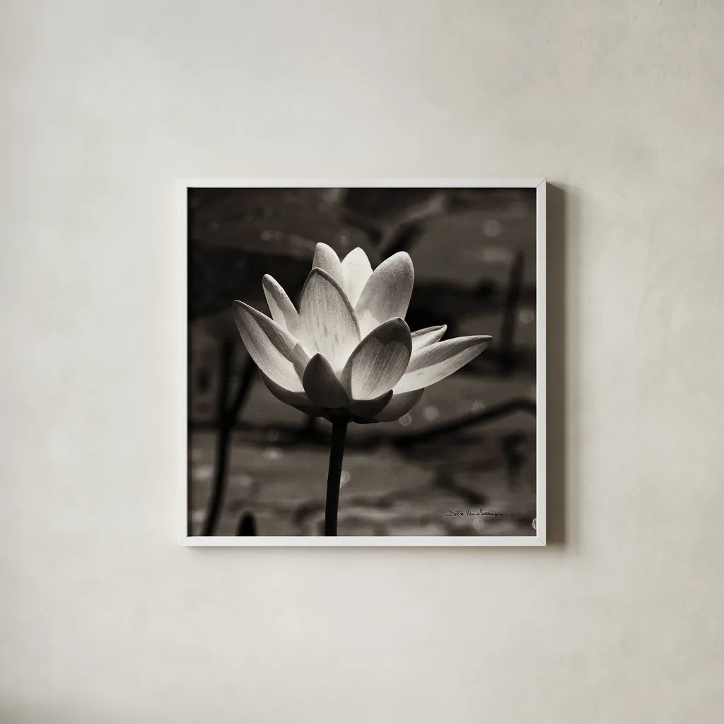 Lotus Flower VII Sq by Debra Van Swearingen. Shown in a crisp white glass frame for a clean and minimalist style. Available as an archival giclee rolled canvas, fine art paper, or poster print. SKU 11801a.