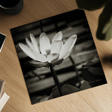 Lotus Flower VIII Sq by Debra Van Swearingen. Shown as a detailed flat fine art print, highlighting archival giclee quality. Available as an archival giclee rolled canvas, fine art paper, or poster print. SKU 11802a.