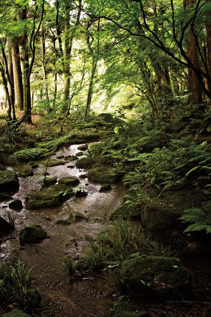 Lush Creek in Forest by Debra Van Swearingen. SKU 55152h. Archival Giclee Fine art print for wall decor.