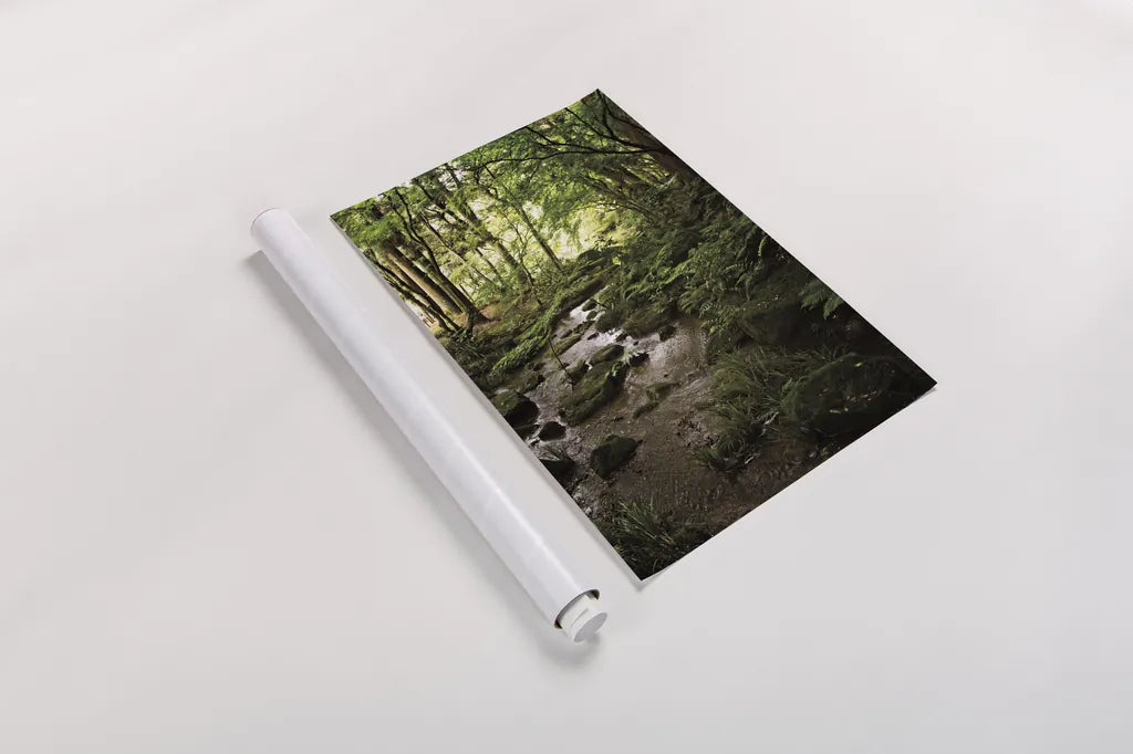 Lush Creek in Forest by Debra Van Swearingen. shown as a rolled paper print. Available as archival giclee rolled canvas, fine art paper, or poster print. SKU 55152h.