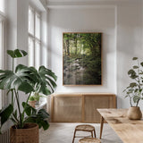 Lush Creek in Forest by Debra Van Swearingen. shown as a print in a natural wood frame in a dining room. Available as a archival giclee rolled canvas, fine art paper, or poster print. SKU 55152h.