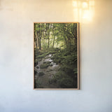 Lush Creek in Forest by Debra Van Swearingen. shown as a paper print in a natural frame. Available as a archival giclee rolled canvas, fine art paper, or poster print. SKU 55152h.