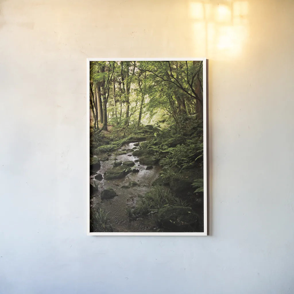 Lush Creek in Forest by Debra Van Swearingen. shown as a paper print in a white frame. Available as a archival giclee rolled canvas, fine art paper, or poster print. SKU 55152h.