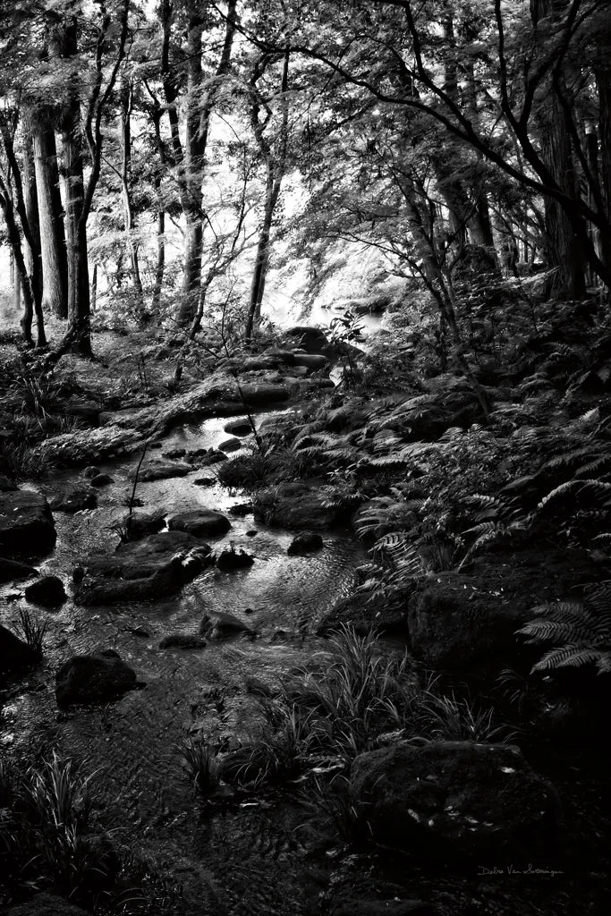 Lush Creek in Forest BW by Debra Van Swearingen. SKU 55153h. Archival Giclee Fine art print for wall decor.