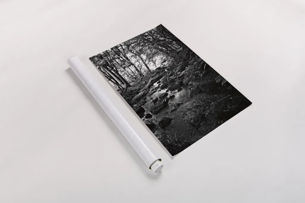 Lush Creek in Forest BW by Debra Van Swearingen. shown as a rolled paper print. Available as archival giclee rolled canvas, fine art paper, or poster print. SKU 55153h.