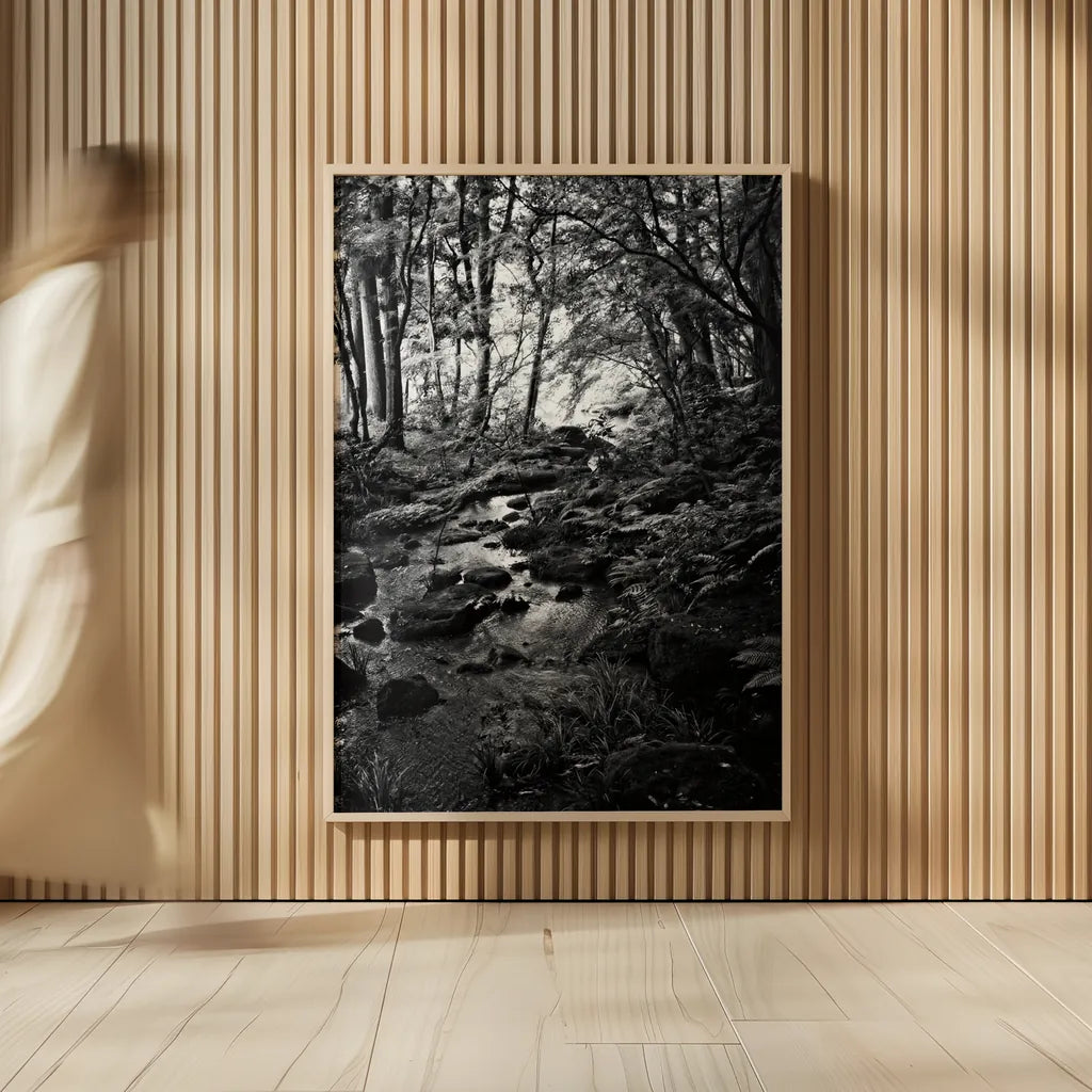 Lush Creek in Forest BW by Debra Van Swearingen. shown as over sized large wall art. Available as an archival giclee rolled canvas, fine art paper, or poster print. SKU 55153h.