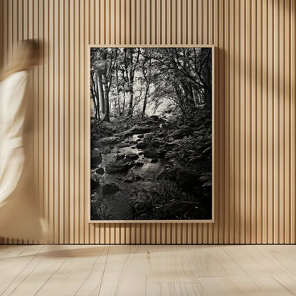 Lush Creek in Forest BW by Debra Van Swearingen. shown as over sized large wall art. Available as an archival giclee rolled canvas, fine art paper, or poster print. SKU 55153h.