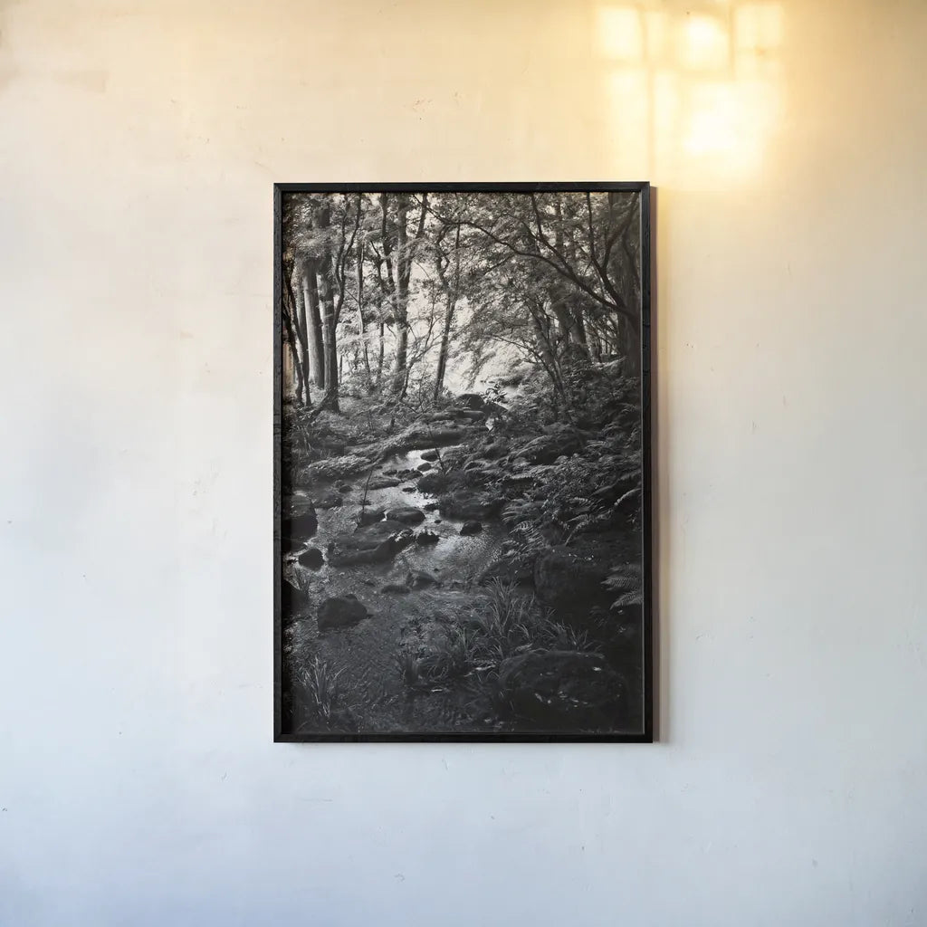 Lush Creek in Forest BW by Debra Van Swearingen. shown as a paper print in a black flame. Available as a archival giclee rolled canvas, fine art paper, or poster print. SKU 55153h.
