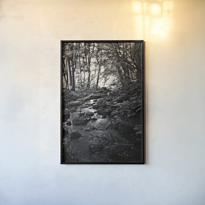 Lush Creek in Forest BW by Debra Van Swearingen. shown as a paper print in a black flame. Available as a archival giclee rolled canvas, fine art paper, or poster print. SKU 55153h.