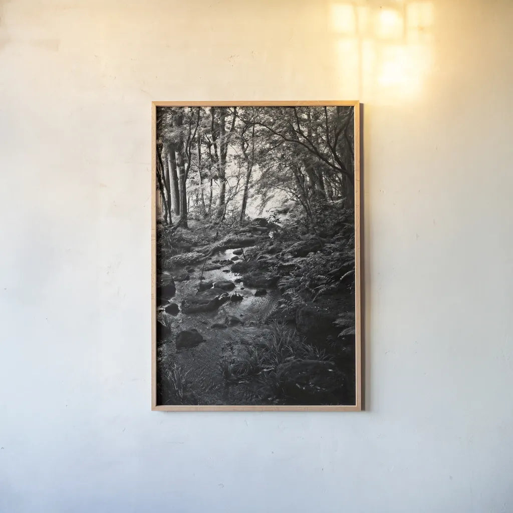Lush Creek in Forest BW by Debra Van Swearingen. shown as a paper print in a natural frame. Available as a archival giclee rolled canvas, fine art paper, or poster print. SKU 55153h.
