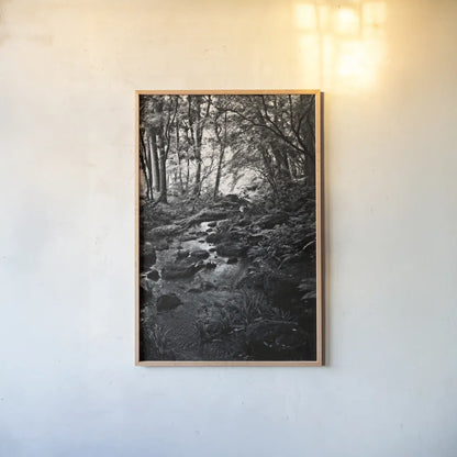 Lush Creek in Forest BW by Debra Van Swearingen. shown as a paper print in a natural frame. Available as a archival giclee rolled canvas, fine art paper, or poster print. SKU 55153h.