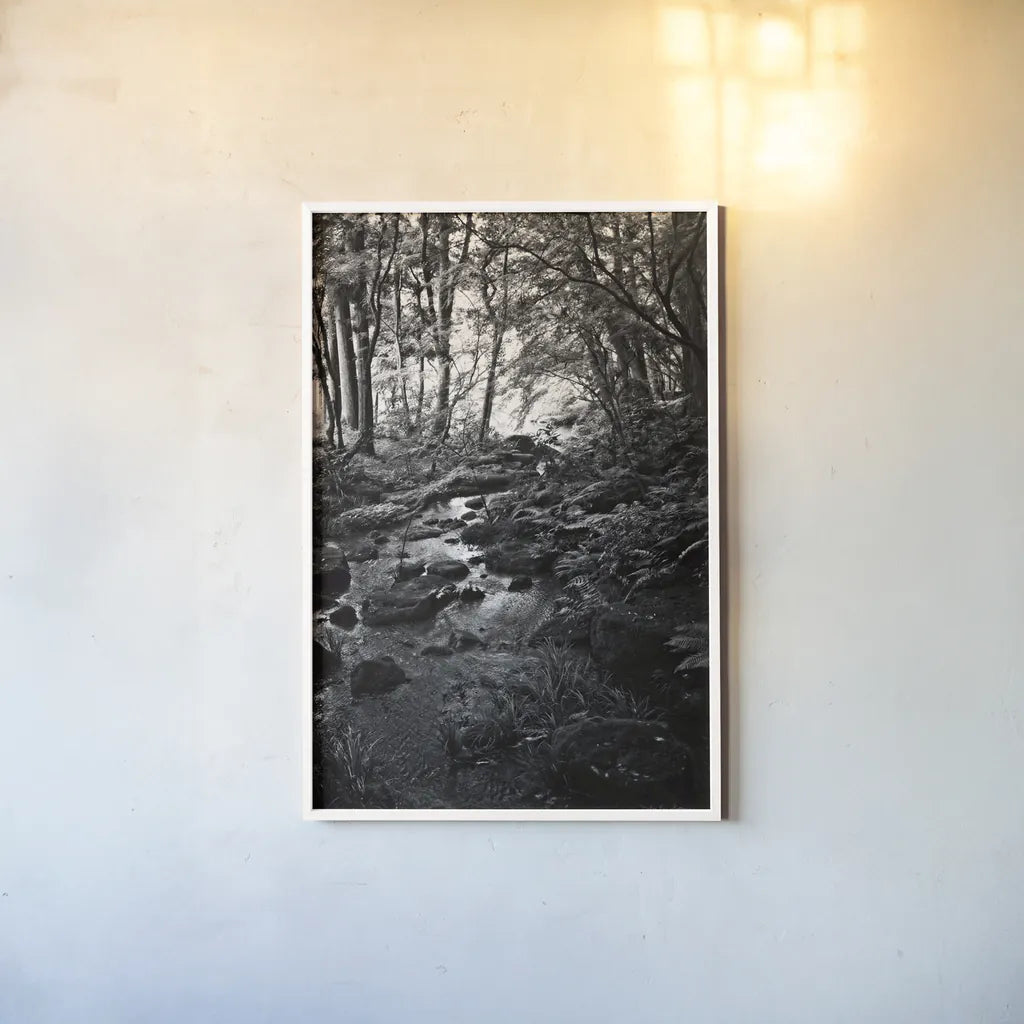 Lush Creek in Forest BW by Debra Van Swearingen. shown as a paper print in a white frame. Available as a archival giclee rolled canvas, fine art paper, or poster print. SKU 55153h.