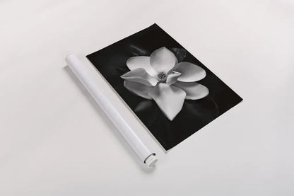 Magnolia by Debra Van Swearingen. shown as a rolled paper print. Available as archival giclee rolled canvas, fine art paper, or poster print. SKU 12233i.