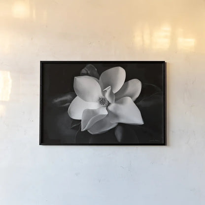 Magnolia by Debra Van Swearingen. shown as a paper print in a black flame. Available as a archival giclee rolled canvas, fine art paper, or poster print. SKU 12233i.