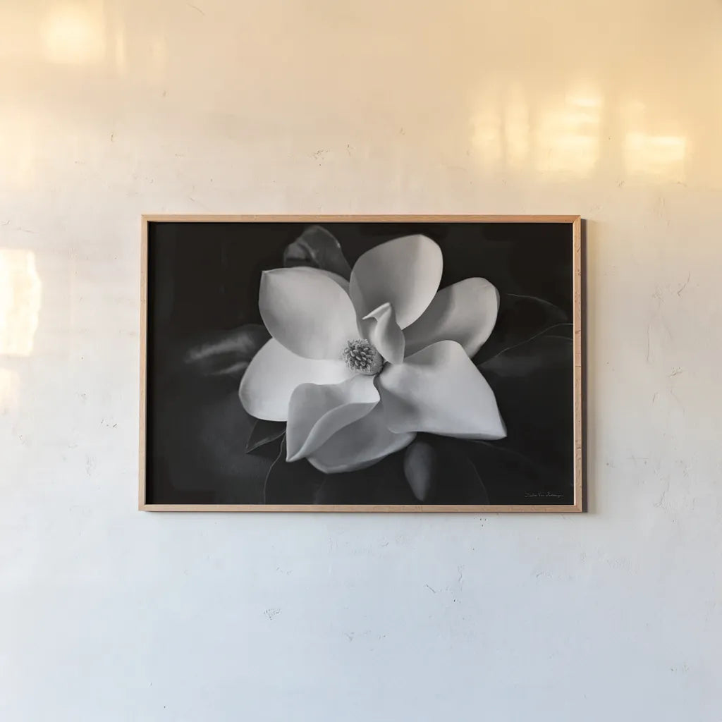 Magnolia by Debra Van Swearingen. shown as a paper print in a natural frame. Available as a archival giclee rolled canvas, fine art paper, or poster print. SKU 12233i.