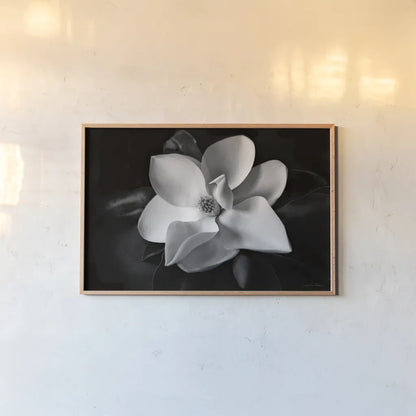 Magnolia by Debra Van Swearingen. shown as a paper print in a natural frame. Available as a archival giclee rolled canvas, fine art paper, or poster print. SKU 12233i.