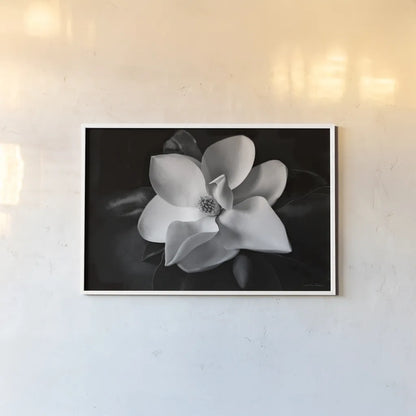 Magnolia by Debra Van Swearingen. shown as a paper print in a white frame. Available as a archival giclee rolled canvas, fine art paper, or poster print. SKU 12233i.