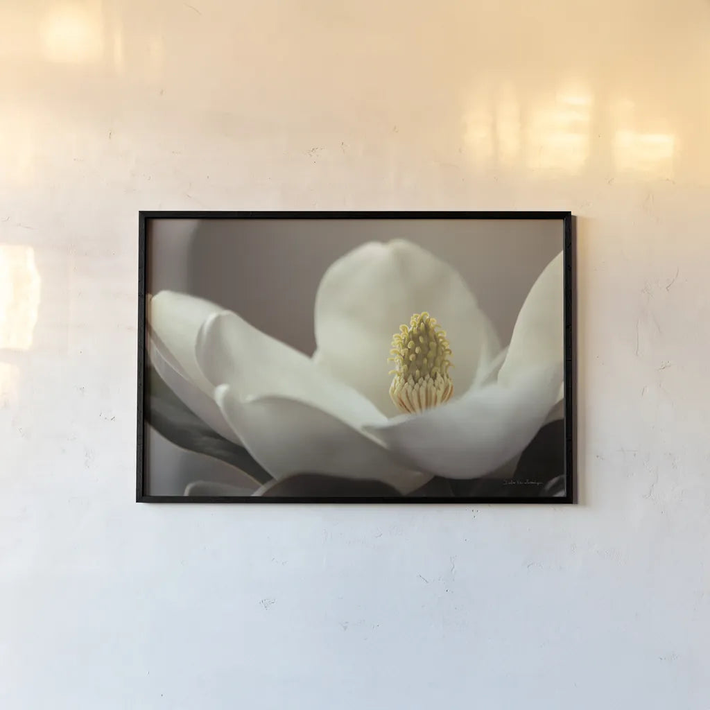 Magnolia Detail II by Debra Van Swearingen. shown as a paper print in a black flame. Available as a archival giclee rolled canvas, fine art paper, or poster print. SKU 89240i.