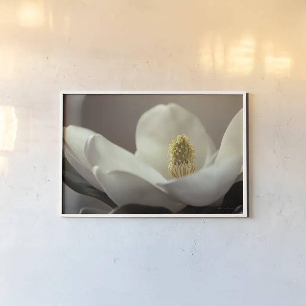 Magnolia Detail II by Debra Van Swearingen. shown as a paper print in a white frame. Available as a archival giclee rolled canvas, fine art paper, or poster print. SKU 89240i.