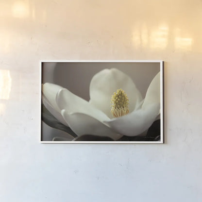 Magnolia Detail II by Debra Van Swearingen. shown as a paper print in a white frame. Available as a archival giclee rolled canvas, fine art paper, or poster print. SKU 89240i.