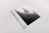 Majestic Pines I by Debra Van Swearingen. shown as a rolled paper print. Available as archival giclee rolled canvas, fine art paper, or poster print. SKU 77358h.
