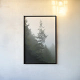 Majestic Pines I by Debra Van Swearingen. shown as a paper print in a black flame. Available as a archival giclee rolled canvas, fine art paper, or poster print. SKU 77358h.